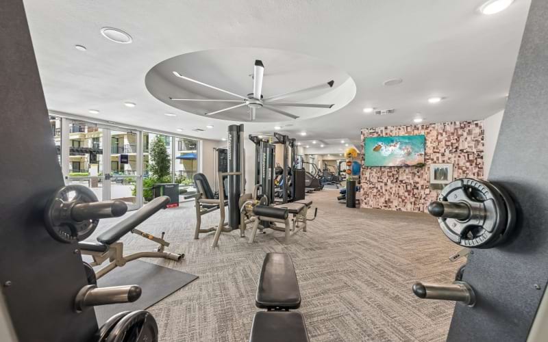 Community Amenities