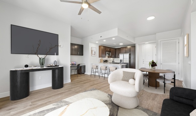 Designer Interiors