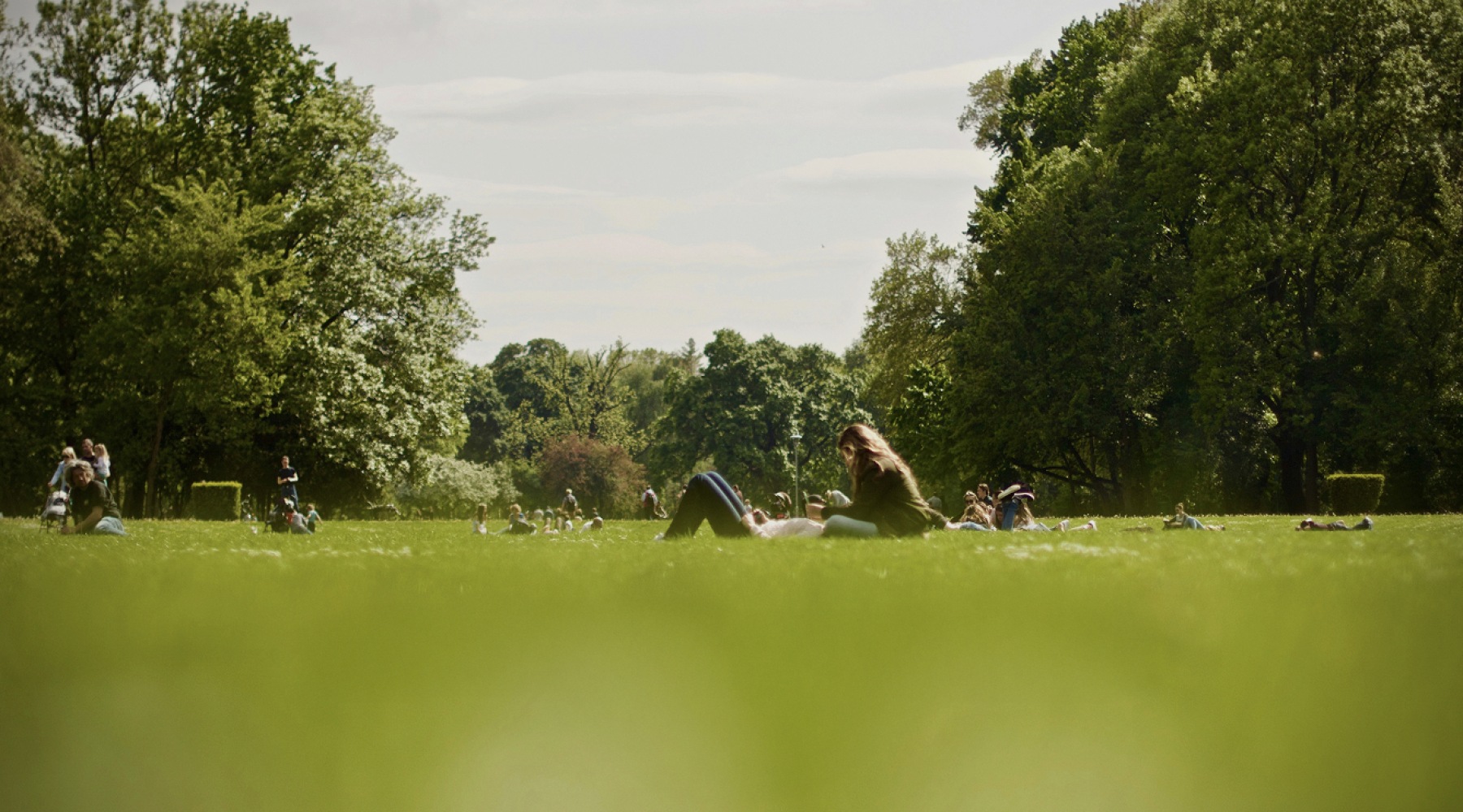 people sitting in grass fields